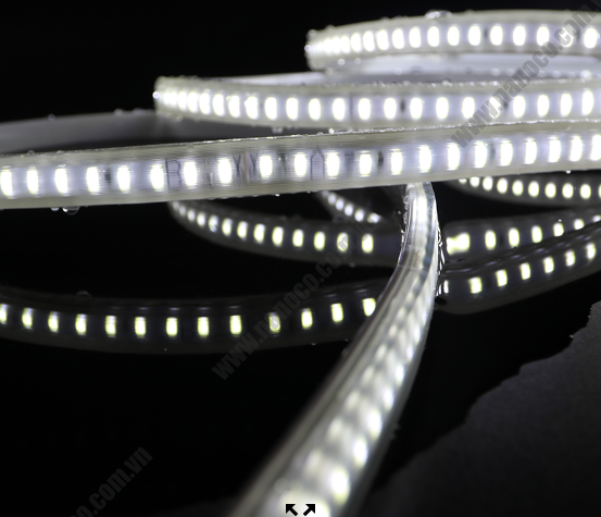 LED Dây 12W Màu : Trắng 6500K Số lượng chíp : 120